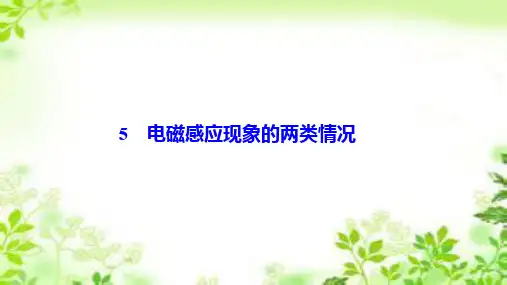 人教版选修3-2 第四章 5 电磁感应现象的两类情况 课件(45张)