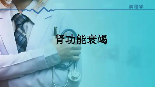 泌尿系统疾病与肾衰竭 肾功能衰竭 肾功能衰竭 病理学课件