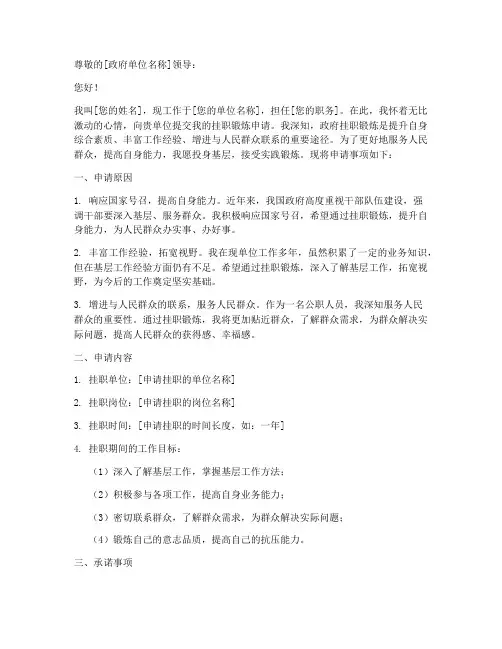 政府挂职申请书模板