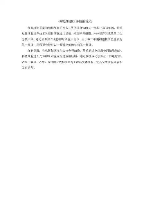 动物细胞核移植的流程