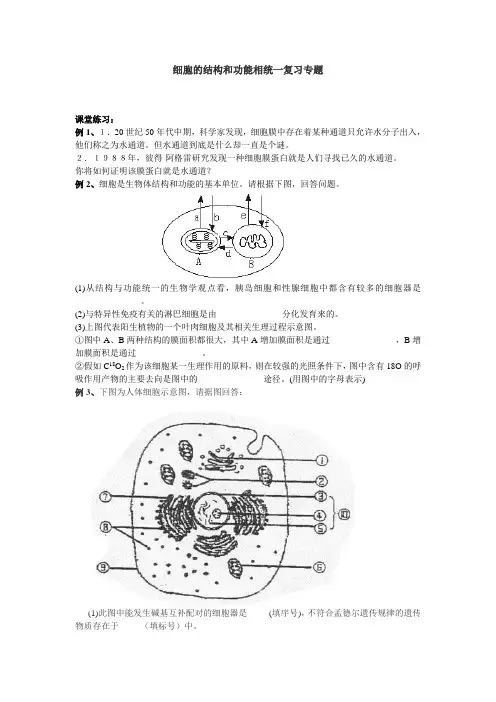 高中生物《细胞的结构和功能相统一》复习专题练习