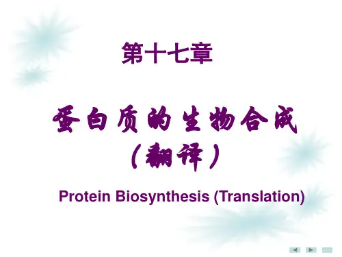 蛋白质生物合成PPT课件演示教学.ppt