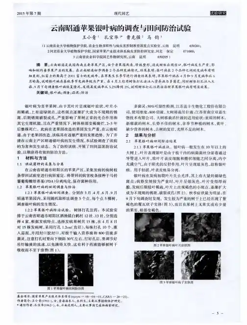 云南昭通苹果银叶病的调查与田间防治试验