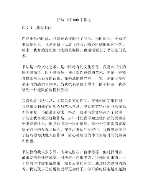 我与书法800字作文