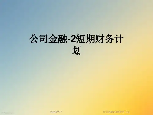 公司金融2短期财务计划