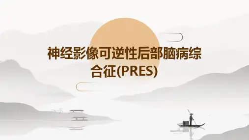 神经影像：可逆性后部脑病综合征(PRES)PPT