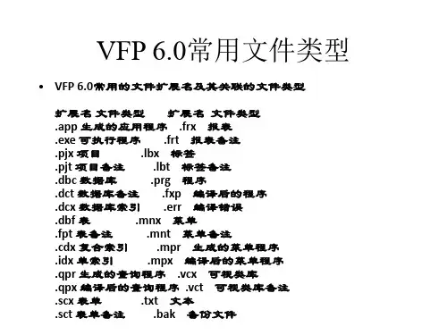 VFP 6.0常用文件类型