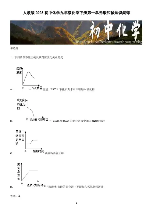 人教版2023初中化学九年级化学下册第十单元酸和碱知识集锦