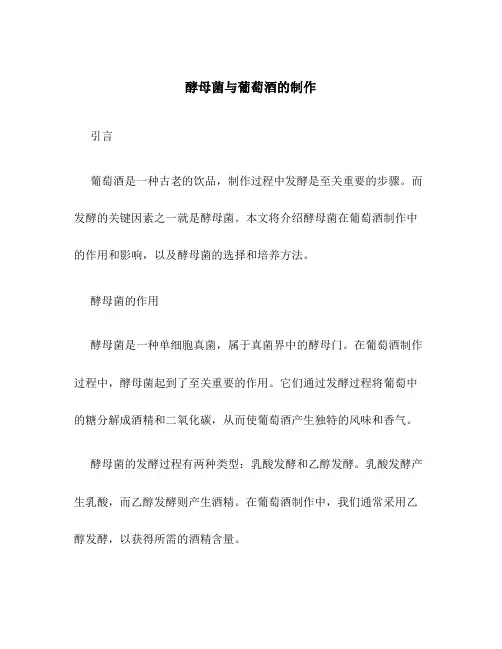 酵母菌与葡萄酒的制作