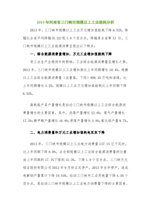 2013年河南省三门峡市规模以上工业能耗分析