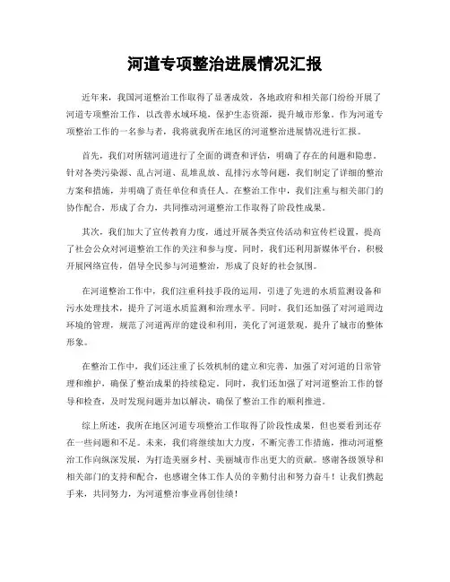 河道专项整治进展情况汇报