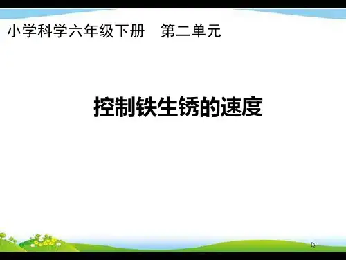 六年级下册科学(教科版)控制铁生锈的速度