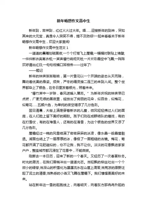 新年畅想作文高中生