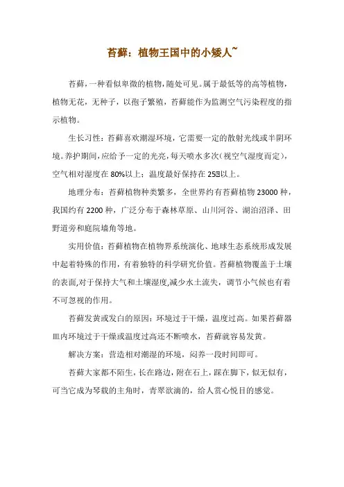苔藓：植物王国中的小矮人~