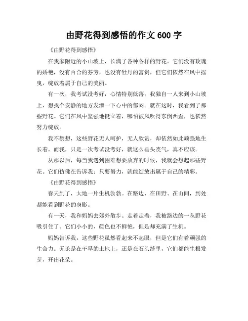 由野花得到感悟的作文600字