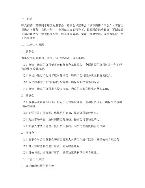 公司三会工作年度总结范文