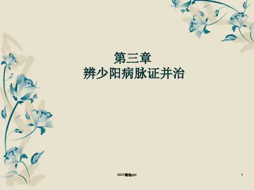 少阳病篇ppt课件