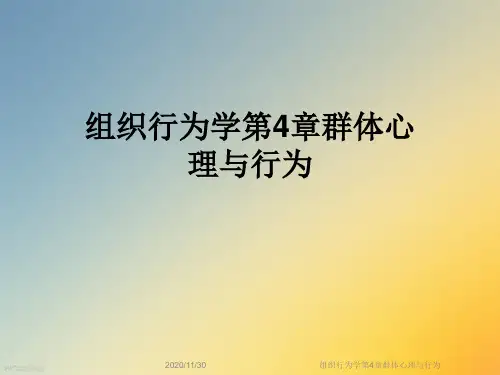 组织行为学第4章群体心理与行为