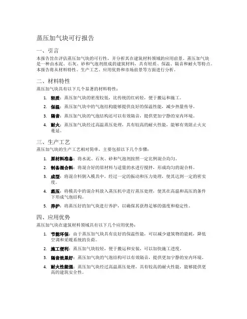 蒸压加气块可行报告