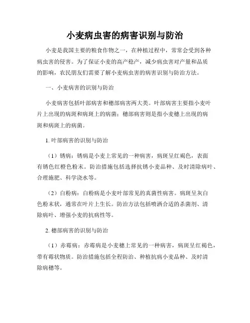 小麦病虫害的病害识别与防治