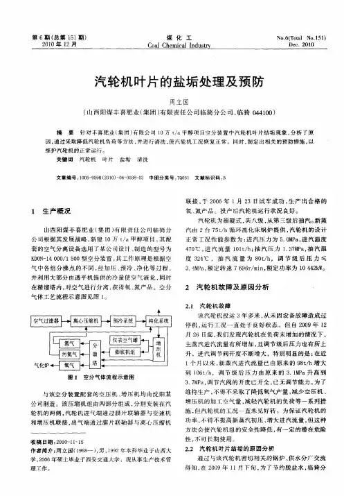 汽轮机叶片的盐垢处理及预防