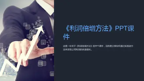 《利润倍增方法》课件