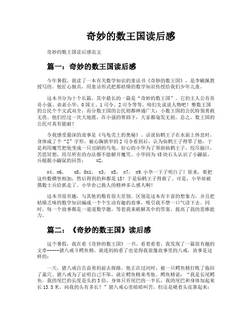 奇妙的数王国读后感