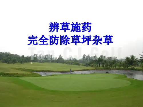 草坪杂草清除完全解决方案