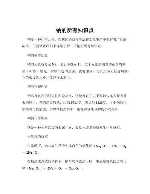 钠的所有知识点