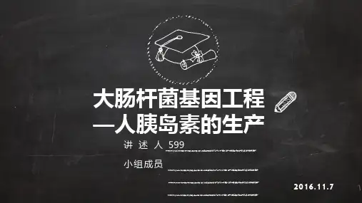 大肠杆菌基因工程人胰岛素