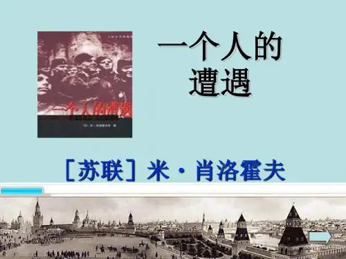 【高中语文】一个人的遭遇ppt精品课件25