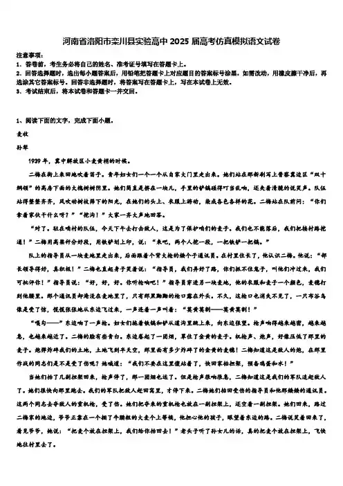 河南省洛阳市栾川县实验高中2025届高考仿真模拟语文试卷含解析