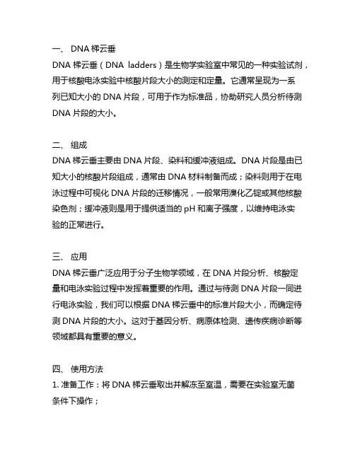 dnaladders名词解释
