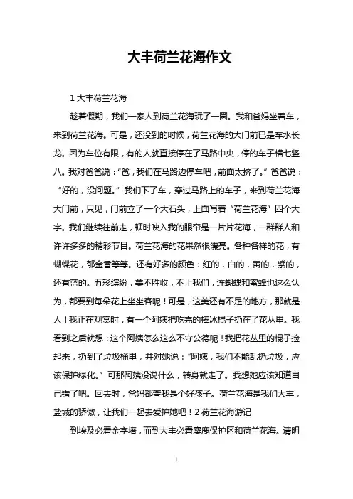 大丰荷兰花海作文