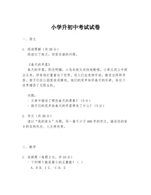 小学升初中考试试卷