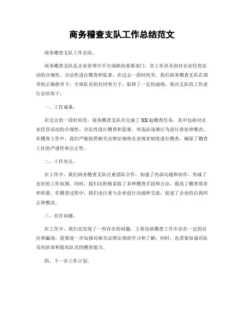 商务稽查支队工作总结范文