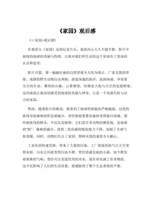 《家园》观后感