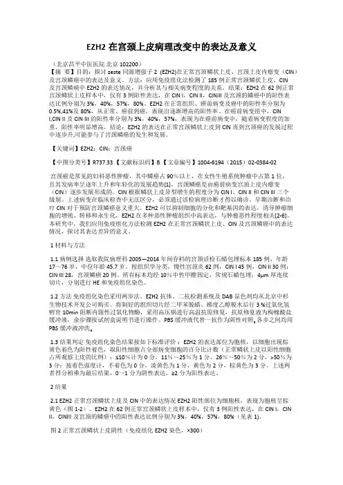 EZH2在宫颈上皮病理改变中的表达及意义