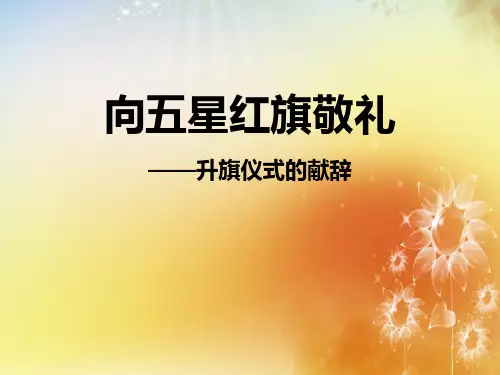 《向五星红旗敬礼》PPT课件