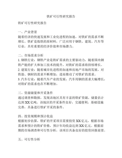 铁矿可行性研究报告