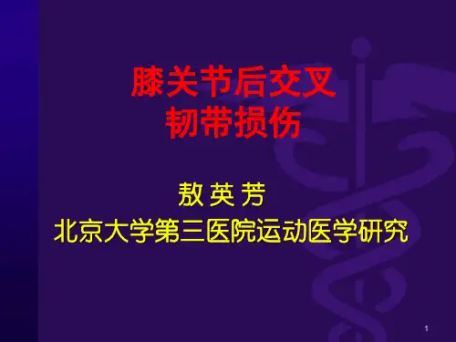 膝关节后交叉韧带损伤