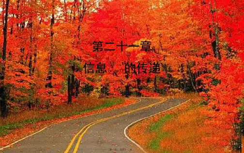 中考物理 第二十一章 信息的传递课件