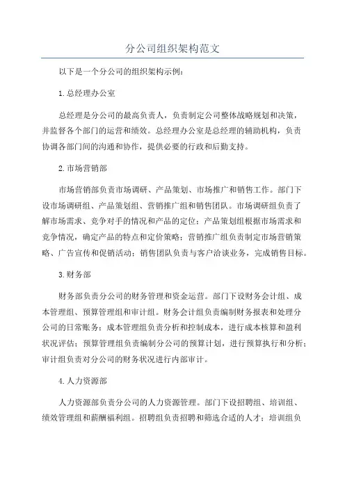 分公司组织架构范文
