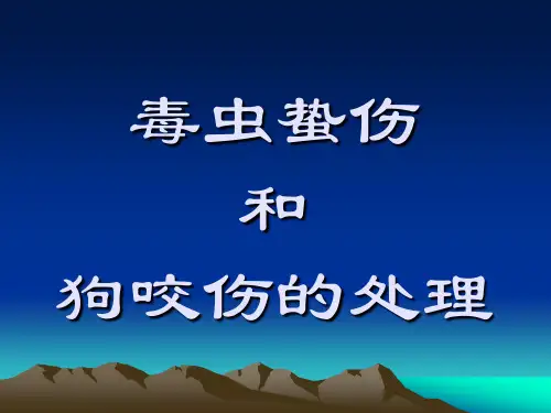毒虫蛰伤和狗咬伤的处理5