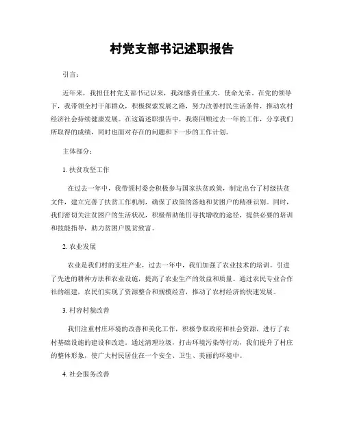 村党支部书记述职报告