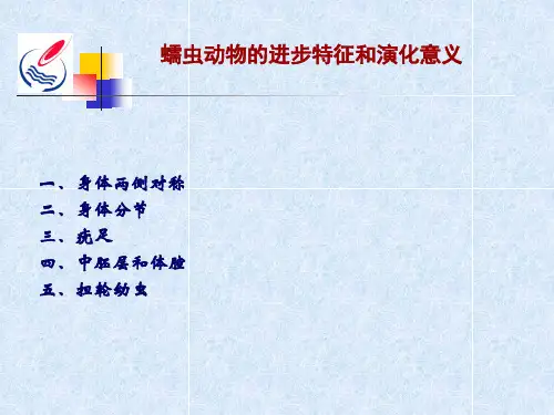 古生物地史学讲义软体动物门PPT课件