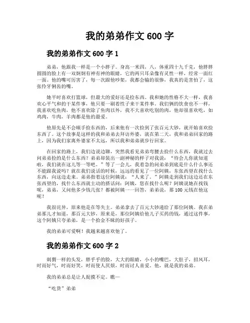 我的弟弟作文600字