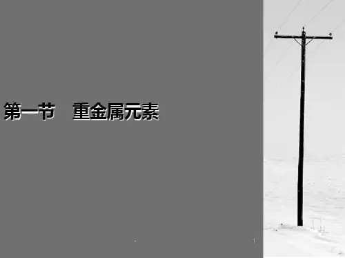 环境化学第六章金属及有机污染PPT课件