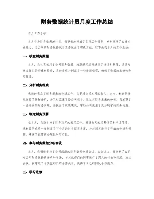 财务数据统计员月度工作总结