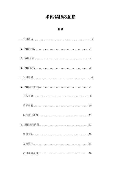 项目推进情况汇报